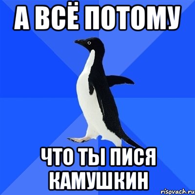 а всё потому что ты пися камушкин, Мем  Социально-неуклюжий пингвин