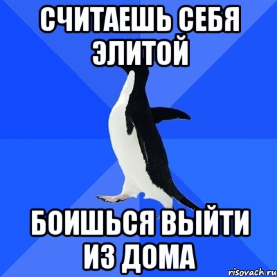 считаешь себя элитой боишься выйти из дома, Мем  Социально-неуклюжий пингвин