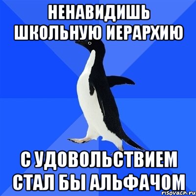 ненавидишь школьную иерархию с удовольствием стал бы альфачом, Мем  Социально-неуклюжий пингвин