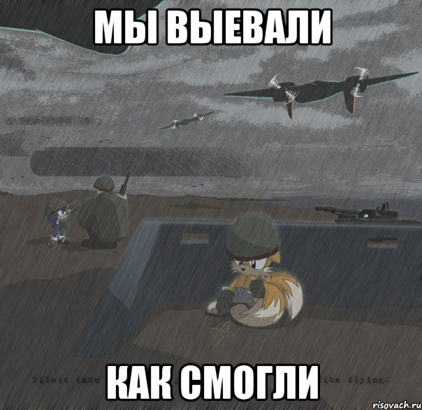 мы выевали как смогли, Мем соник
