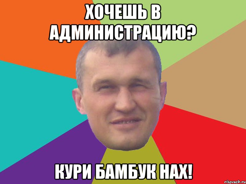 хочешь в администрацию? кури бамбук нах!