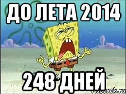 до лета 2014 248 дней, Мем Спанч Боб плачет