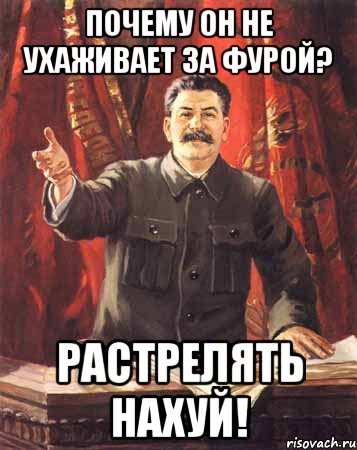 почему он не ухаживает за фурой? растрелять нахуй!, Мем  сталин цветной