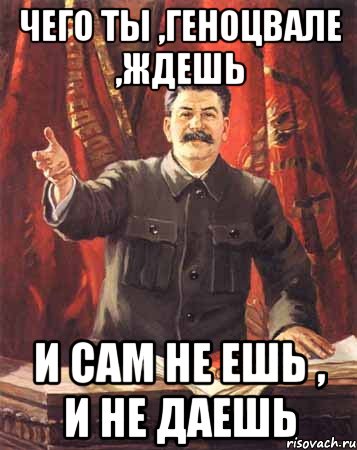 чего ты ,геноцвале ,ждешь и сам не ешь , и не даешь, Мем  сталин цветной