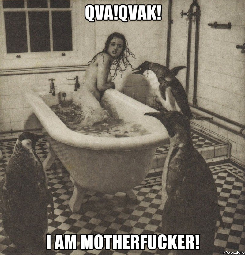 qva!qvak! i am motherfucker!