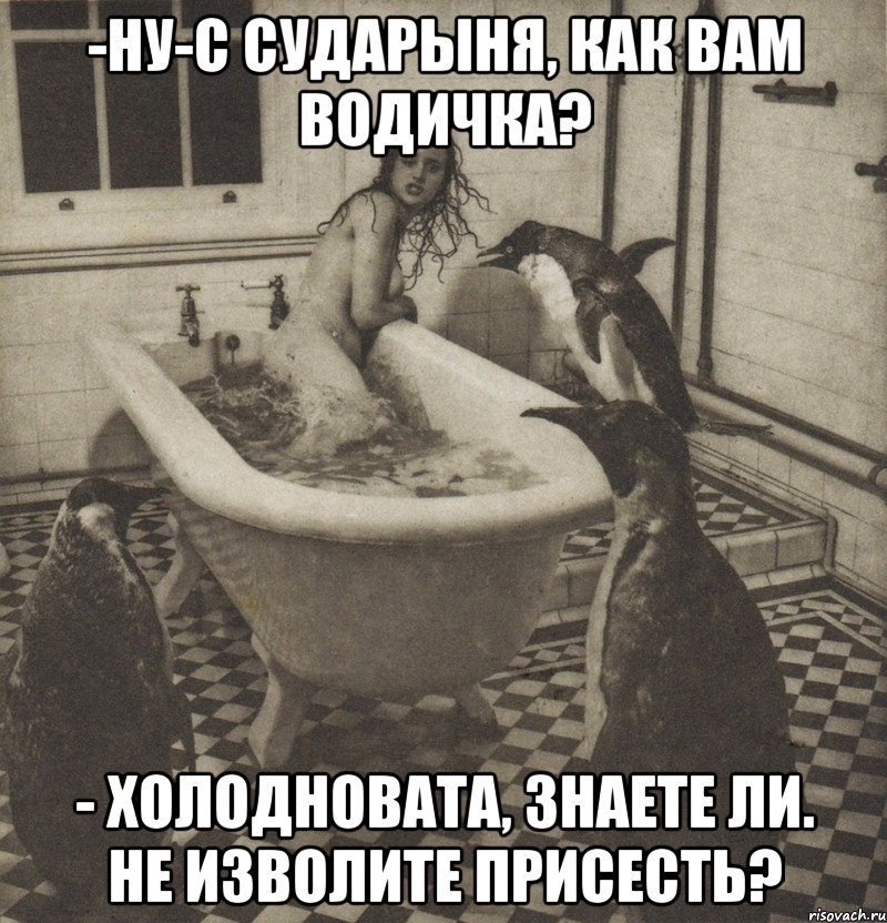 -ну-с сударыня, как вам водичка? - холодновата, знаете ли. не изволите присесть?, Мем Столбняк