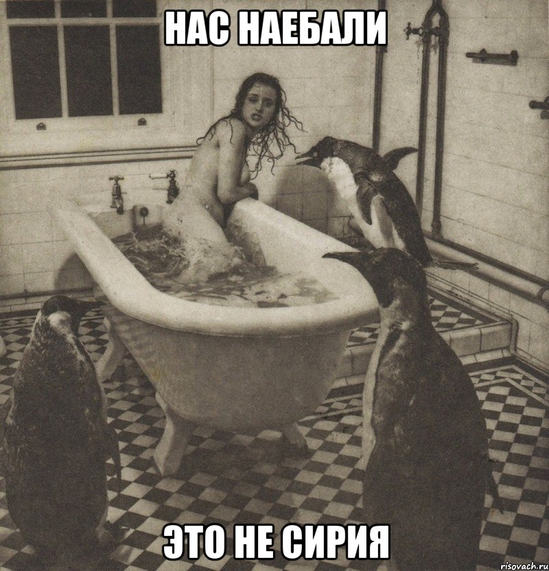 нас наебали это не сирия