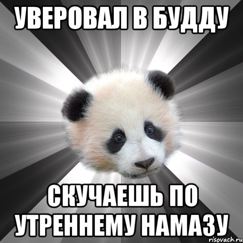 уверовал в будду скучаешь по утреннему намазу