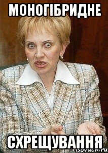 моногібридне схрещування, Мем Судья Егорова