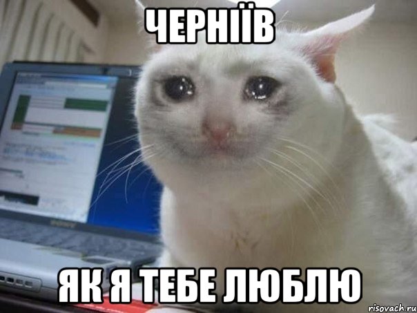 черніїв як я тебе люблю