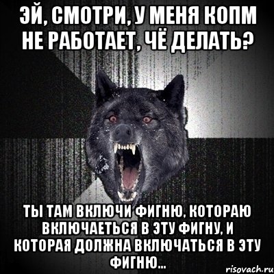 эй, смотри, у меня копм не работает, чё делать? ты там включи фигню, котораю включаеться в эту фигну, и которая должна включаться в эту фигню..., Мем Сумасшедший волк