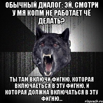 обычный диалог: эй, смотри у мя копм не работает чё делать? ты там включи фигню, которая включаеться в эту фигню, и которая должна включаться в эту фигню..., Мем Сумасшедший волк