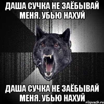 даша сучка не заёбывай меня. убью нахуй даша сучка не заёбывай меня. убью нахуй, Мем Сумасшедший волк