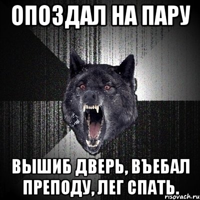 опоздал на пару вышиб дверь, въебал преподу, лег спать., Мем Сумасшедший волк