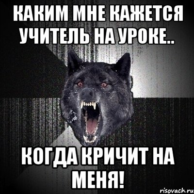 каким мне кажется учитель на уроке.. когда кричит на меня!, Мем Сумасшедший волк