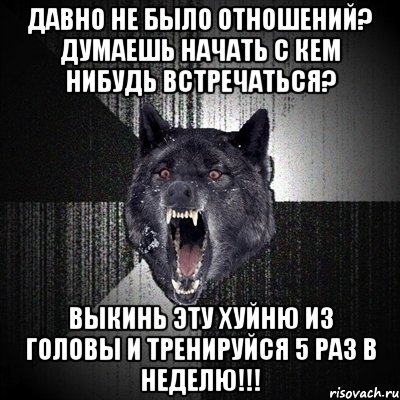 давно не было отношений? думаешь начать с кем нибудь встречаться? выкинь эту хуйню из головы и тренируйся 5 раз в неделю!!!, Мем Сумасшедший волк