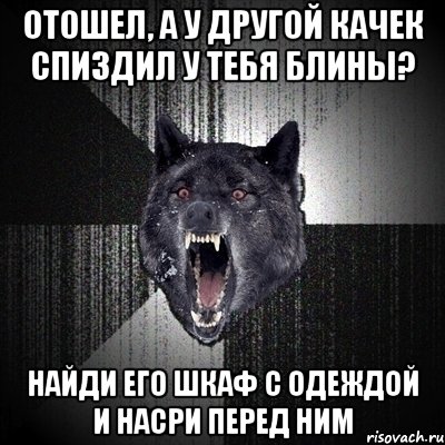 отошел, а у другой качек спиздил у тебя блины? найди его шкаф с одеждой и насри перед ним, Мем Сумасшедший волк