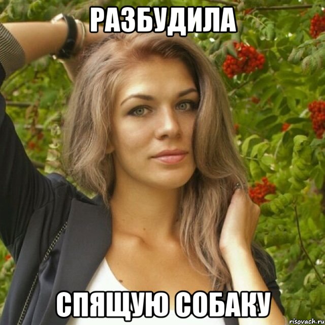 разбудила спящую собаку, Мем СВЕТА