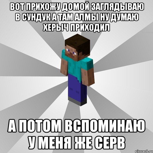 вот прихожу домой заглядываю в сундук а там алмы ну думаю херыч приходил а потом вспоминаю у меня же серв, Мем Типичный игрок Minecraft