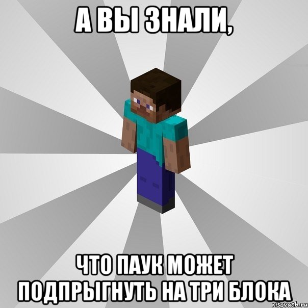 а вы знали, что паук может подпрыгнуть на три блока, Мем Типичный игрок Minecraft