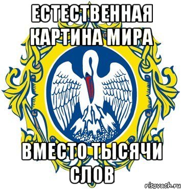 естественная картина мира вместо тысячи слов