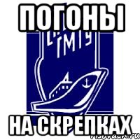 погоны на скрепках