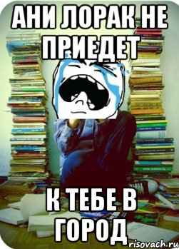 ани лорак не приедет к тебе в город, Мем Типовий десятикласник