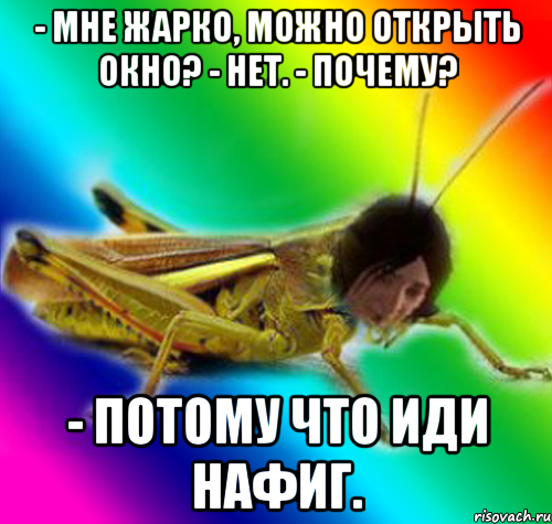 - мне жарко, можно открыть окно? - нет. - почему? - потому что иди нафиг.