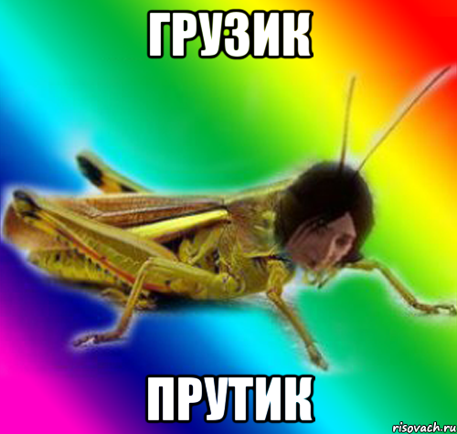 грузик прутик
