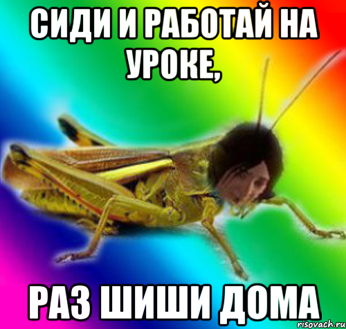 сиди и работай на уроке, раз шиши дома