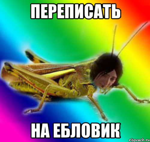 переписать на ебловик
