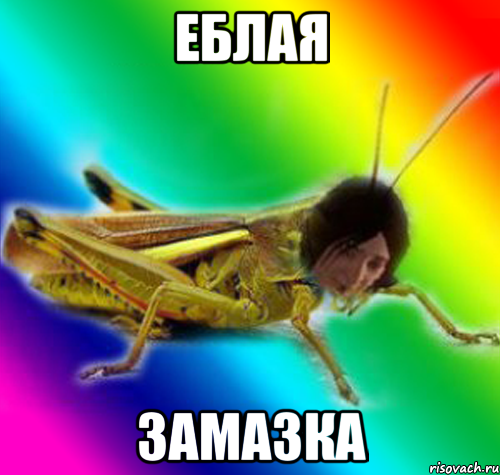 еблая замазка