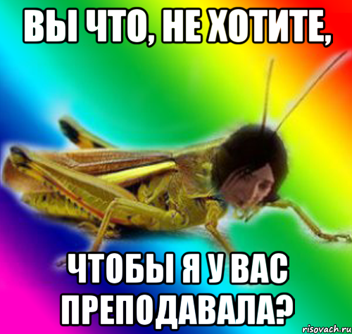 вы что, не хотите, чтобы я у вас преподавала?