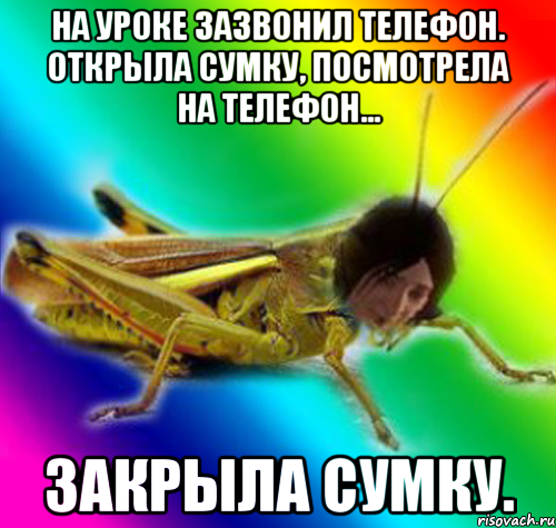 на уроке зазвонил телефон. открыла сумку, посмотрела на телефон... закрыла сумку.