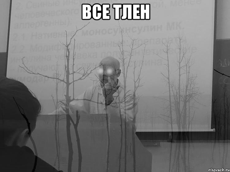 все тлен , Мем тлен