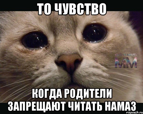 то чувство когда родители запрещают читать намаз