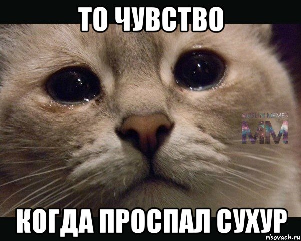 то чувство когда проспал сухур