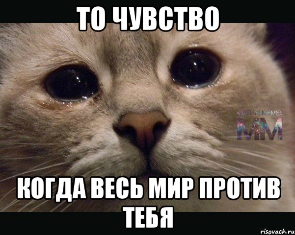 то чувство когда весь мир против тебя