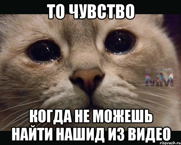 то чувство когда не можешь найти нашид из видео
