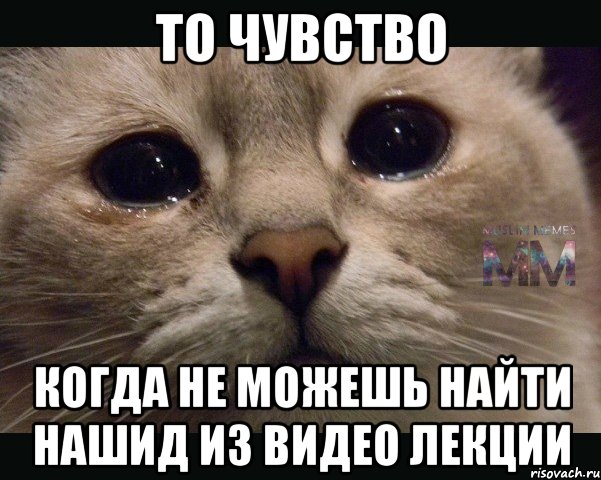 то чувство когда не можешь найти нашид из видео лекции