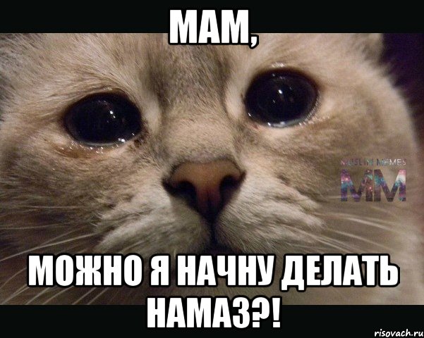 мам, можно я начну делать намаз?!