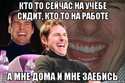 кто то сейчас на учёбе сидит, кто то на работе а мне дома и мне заебись, Мем том круз