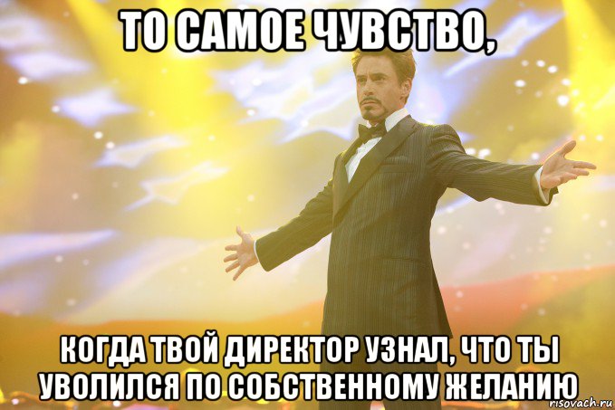 то самое чувство, когда твой директор узнал, что ты уволился по собственному желанию, Мем Тони Старк (Роберт Дауни младший)