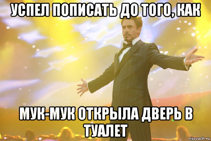 успел пописать до того, как мук-мук открыла дверь в туалет, Мем Тони Старк (Роберт Дауни младший)