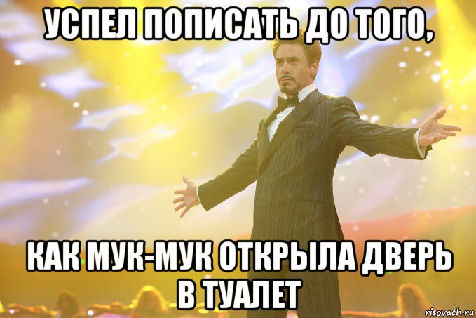 успел пописать до того, как мук-мук открыла дверь в туалет, Мем Тони Старк (Роберт Дауни младший)