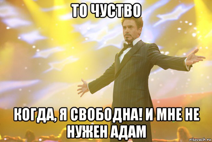 то чуство когда, я свободна! и мне не нужен адам, Мем Тони Старк (Роберт Дауни младший)