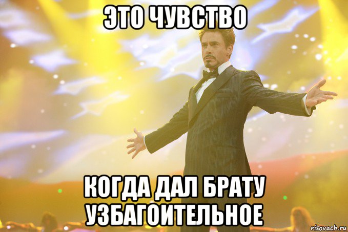 это чувство когда дал брату узбагоительное, Мем Тони Старк (Роберт Дауни младший)