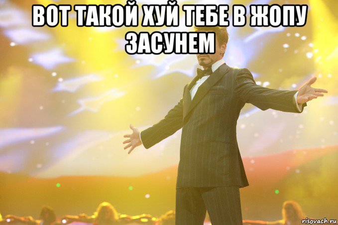 вот такой хуй тебе в жопу засунем , Мем Тони Старк (Роберт Дауни младший)