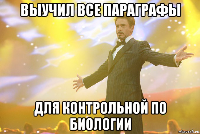 выучил все параграфы для контрольной по биологии, Мем Тони Старк (Роберт Дауни младший)
