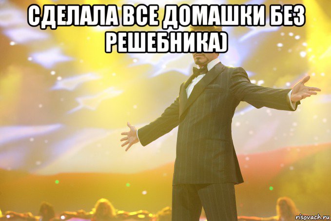сделала все домашки без решебника) , Мем Тони Старк (Роберт Дауни младший)